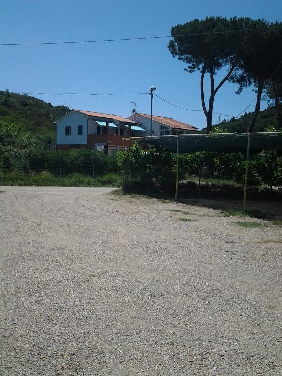 Hotel Rustichello Marina di Campo Eksteriør billede