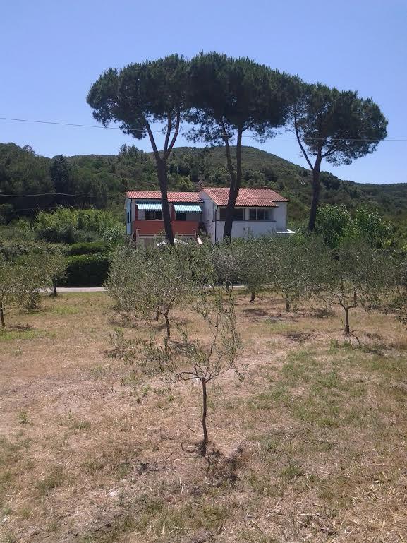 Hotel Rustichello Marina di Campo Eksteriør billede